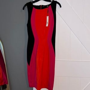 NWT Tahari color block dress, pics don’t do it justice size 4